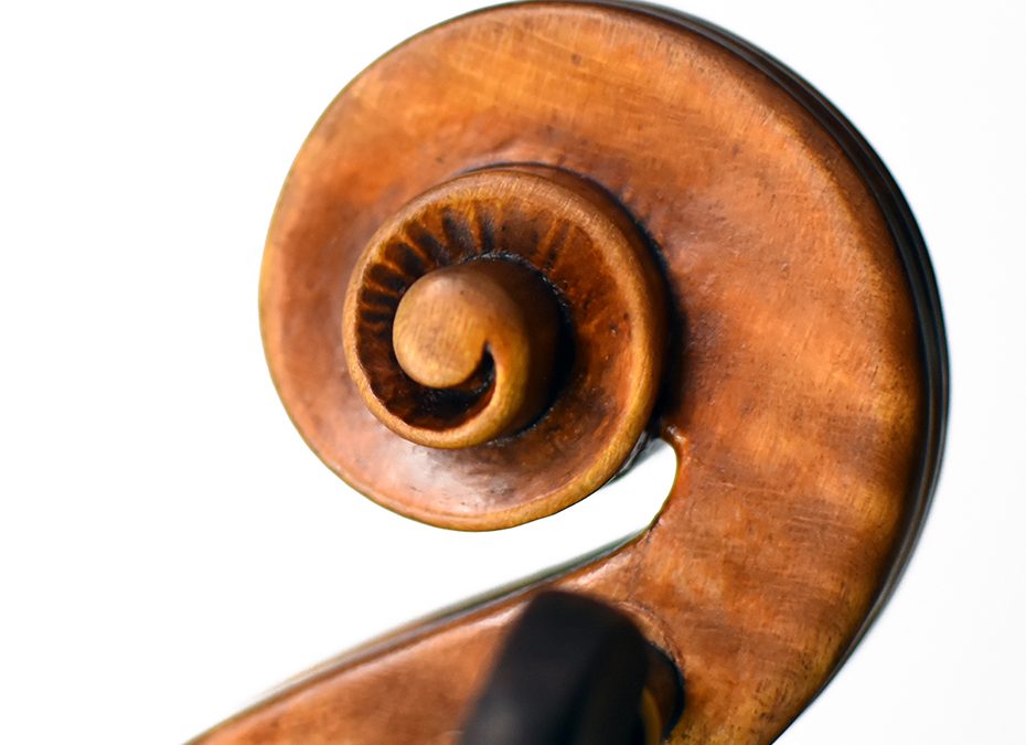 violin 2014, ‘Harlequin’