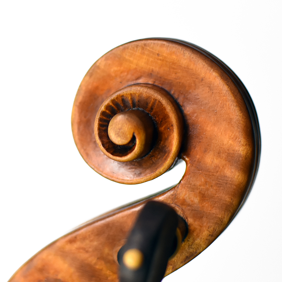 violin 2014, ‘Harlequin’